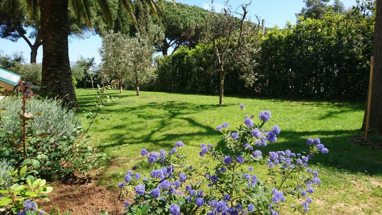 מלון סן וינצ'נזו La Stanza Del Podere Isabella מראה חיצוני תמונה